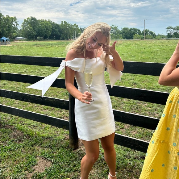 Alexia Maria Isabella Silk Wool Blend Mini Dress- Size 2 - Picture 2 of 3